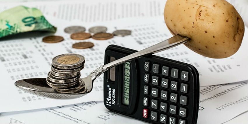 kripto para rehberi