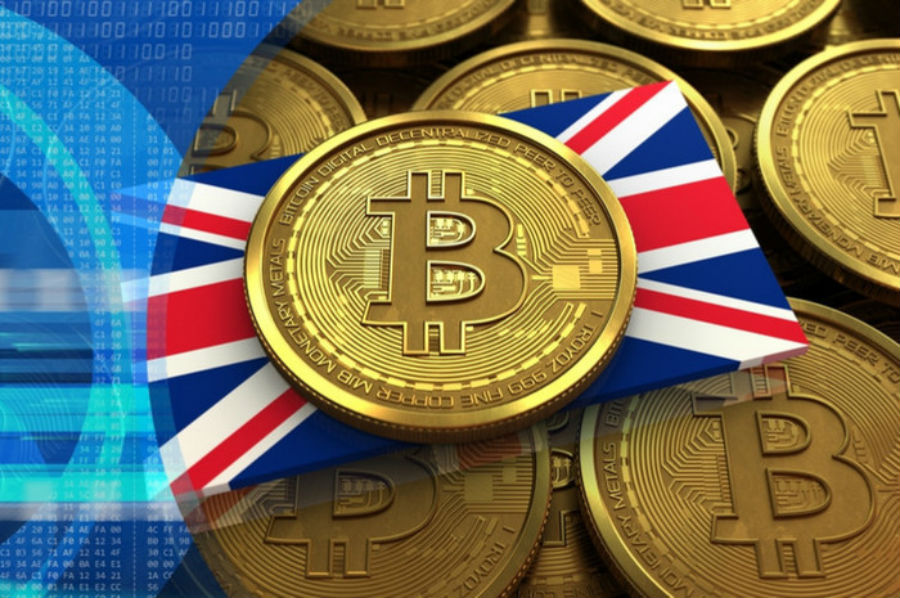 kripto para rehberi