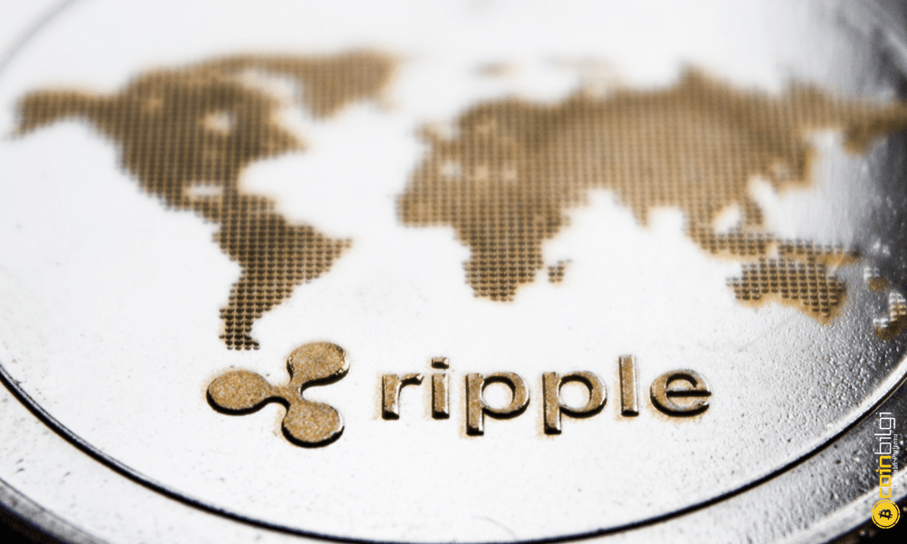 Kripto para rehberleri