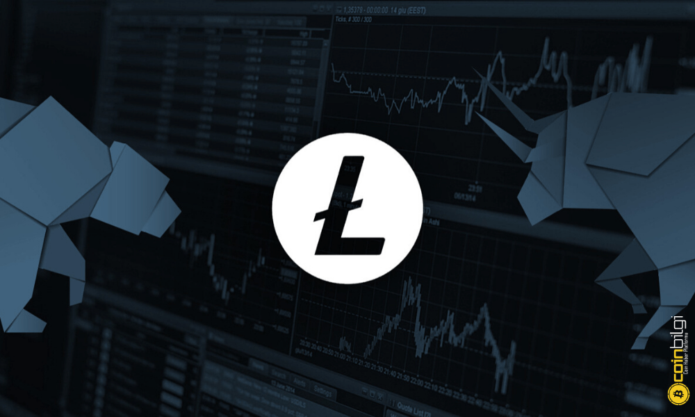 litecoin nedir