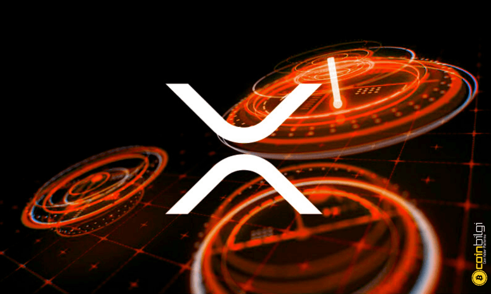 Kripto para rehberleri