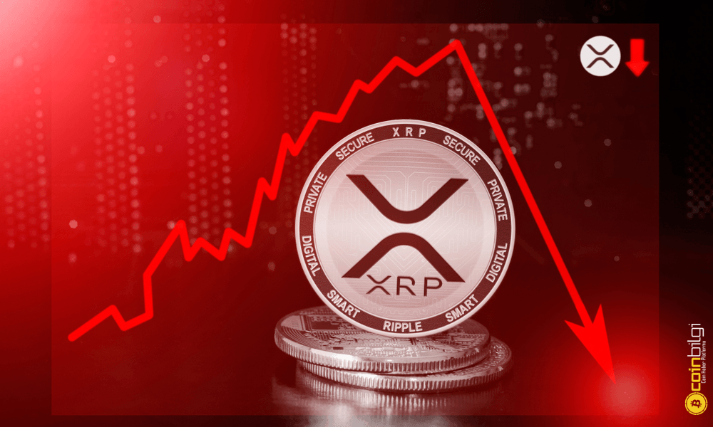xrp yorum