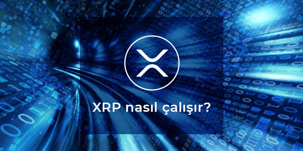 ripple-nasil-calisir