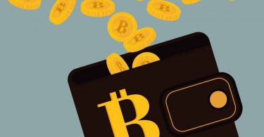 Bitcoin-Wallet-en-iyi-yedi