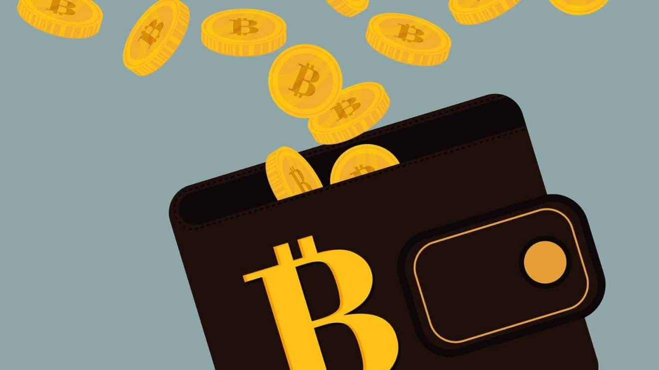 Bitcoin-Wallet-en-iyi-yedi