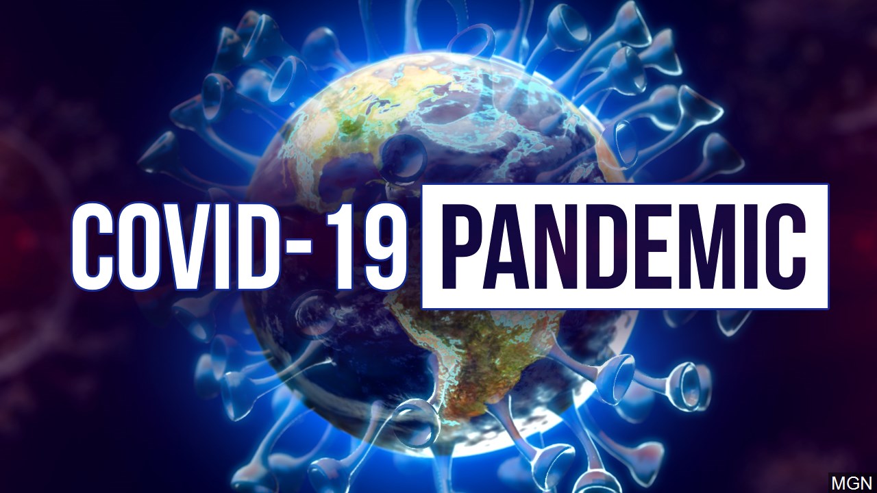 COVID-19 Pandemisi'nin Etkisi