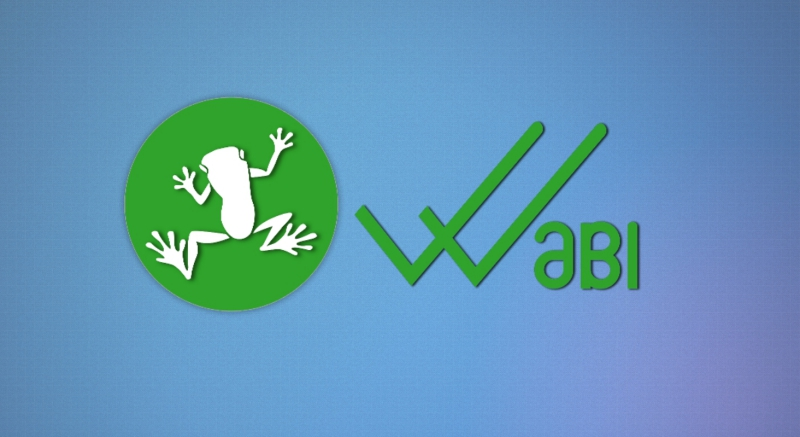 WaBi-nedir-temel-rehber