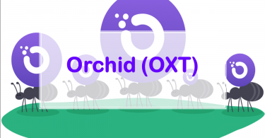 orchid-oxt-nedir-yeni-baslayanlar-icin-temel-rehber