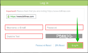 bitfinex-şifre-kurtarma-ekranı