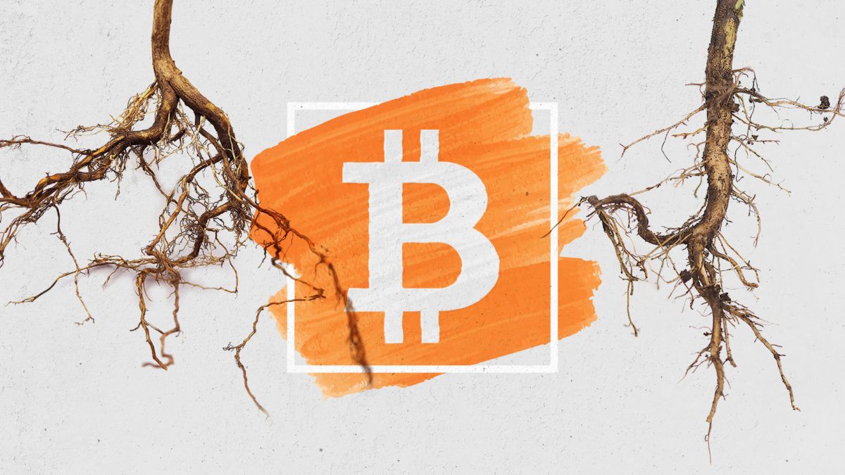 Bitcoin Taproot Güncellemesi 2