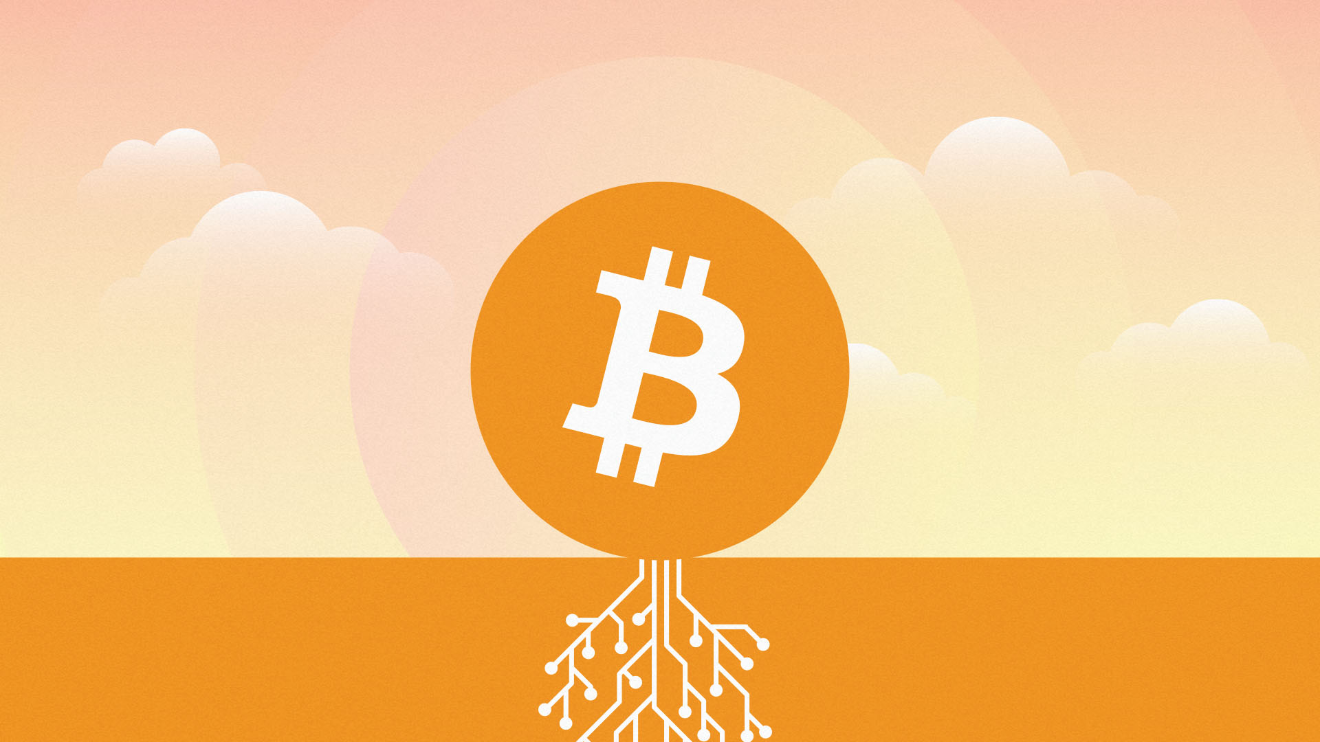 Bitcoin Taproot 