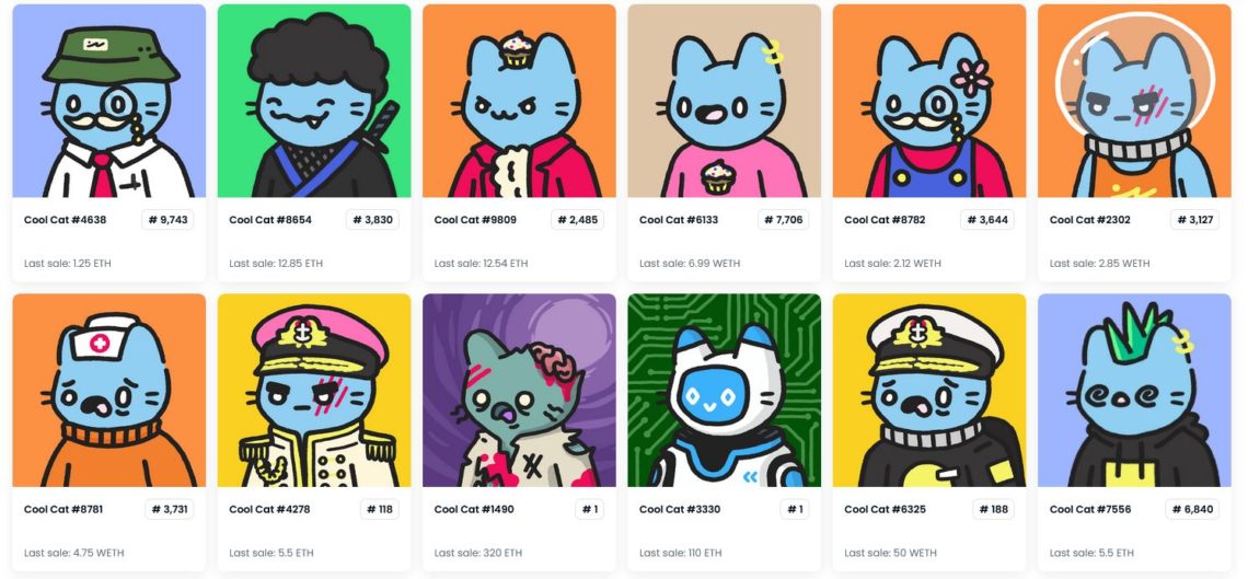 cool cats nedir