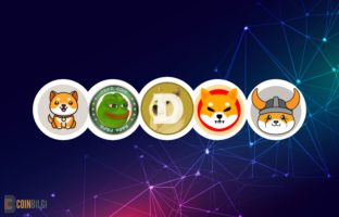 memecoin coinbilgi